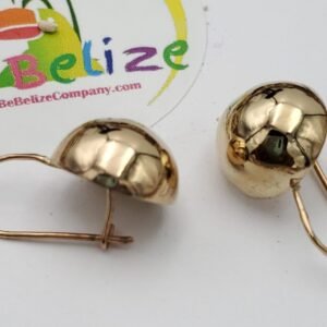 ✨ Belize Gold Knob Earrings – 14kt Yellow Gold